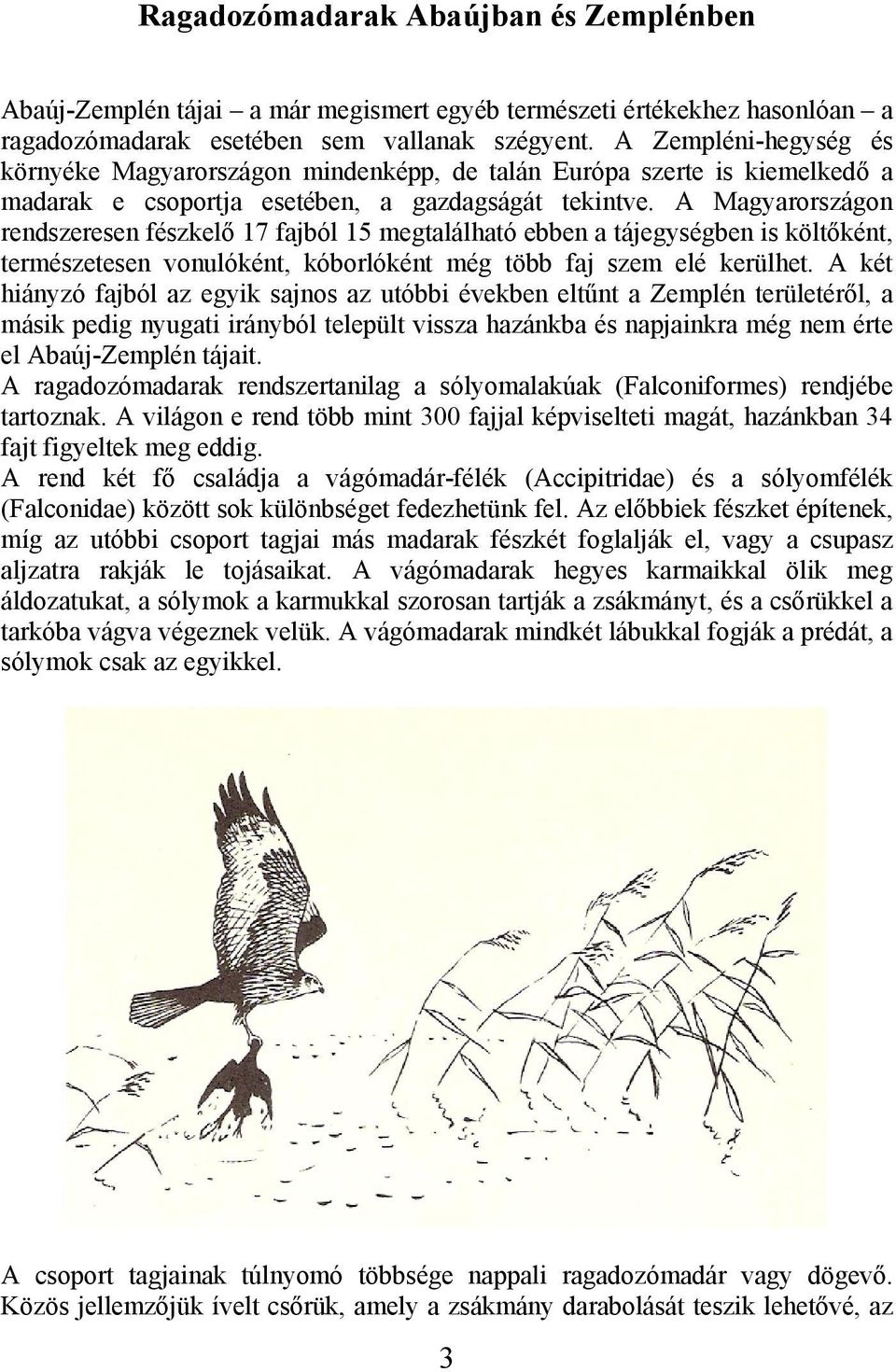 A Magyarországon rendszeresen fészkelő 17 fajból 15 megtalálható ebben a tájegységben is költőként, természetesen vonulóként, kóborlóként még több faj szem elé kerülhet.