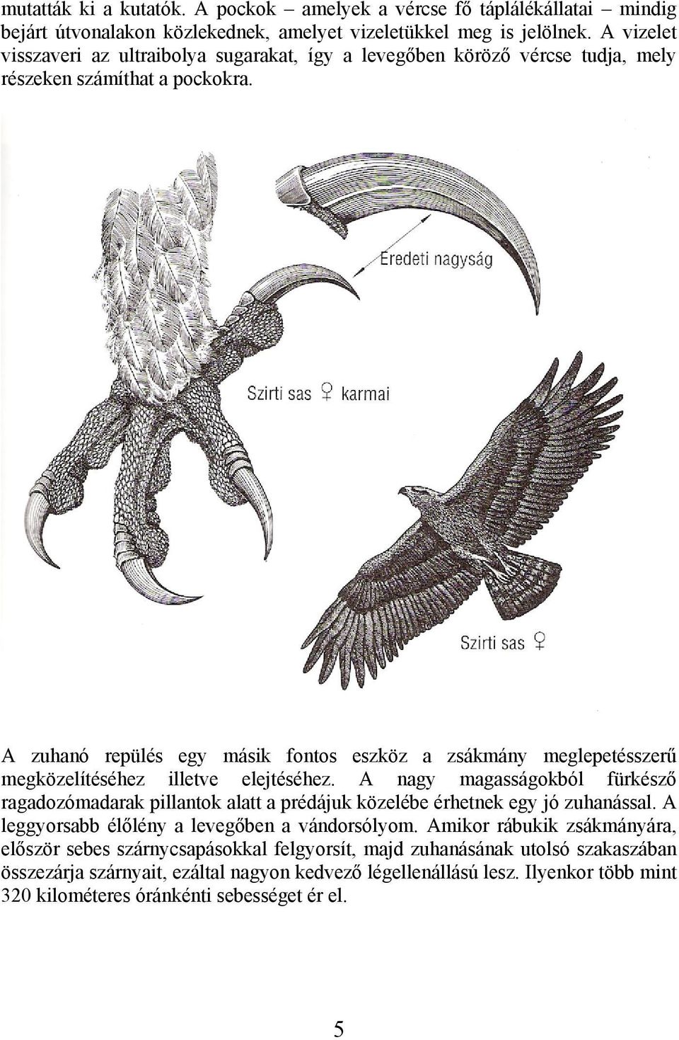 A zuhanó repülés egy másik fontos eszköz a zsákmány meglepetésszerű megközelítéséhez illetve elejtéséhez.