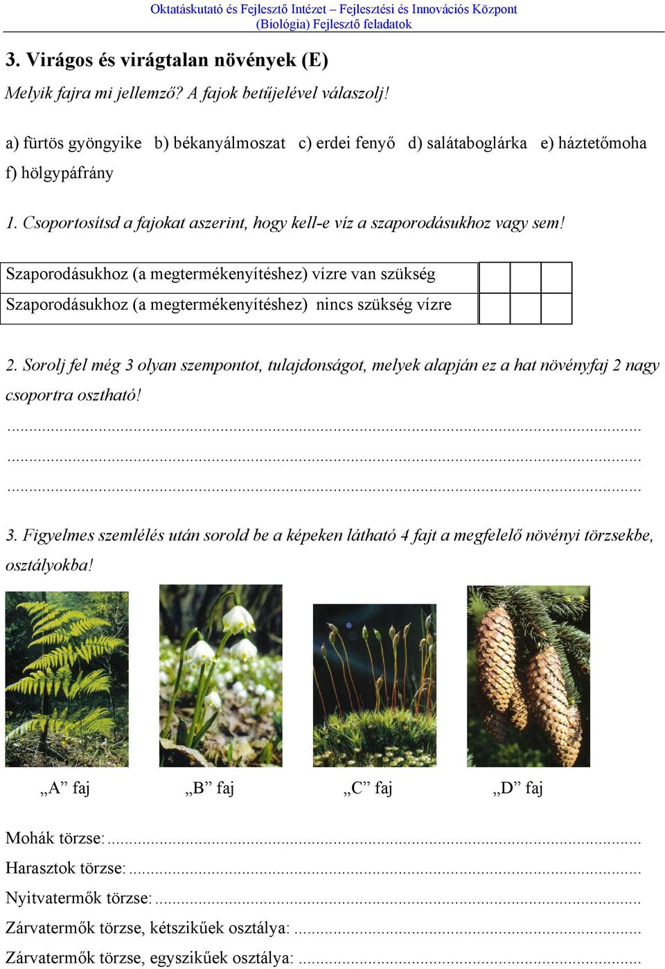 Sorolj fel még 3 olyan szempontot, tulajdonságot, melyek alapján ez a hat növényfaj 2 nagy csoportra osztható!......... 3. Figyelmes szemlélés után sorold be a képeken látható 4 fajt a megfelelő növényi törzsekbe, osztályokba!