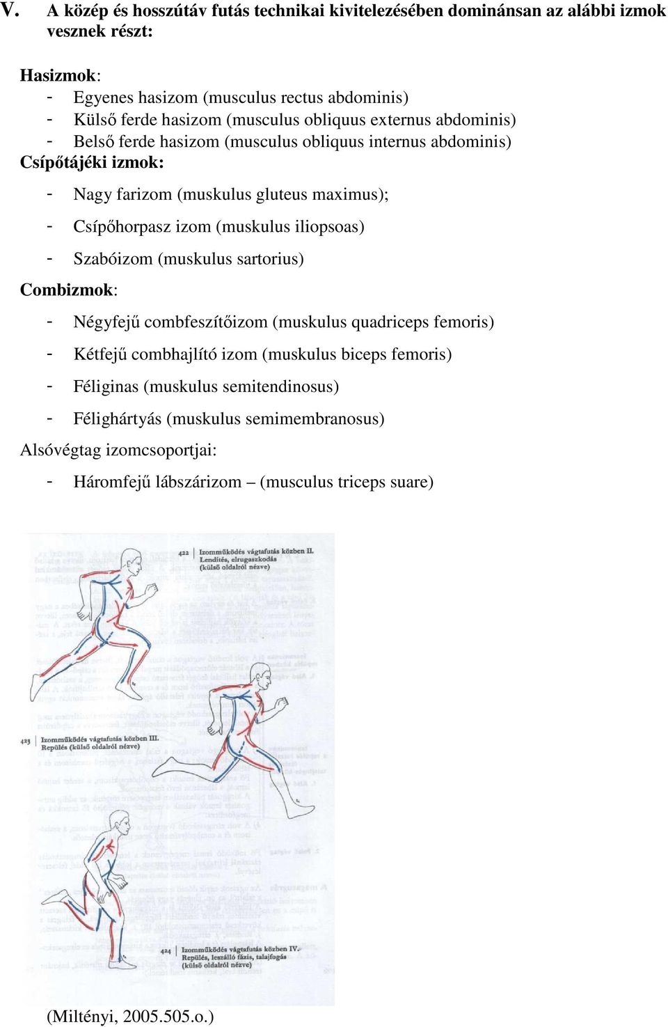 izom (muskulus iliopsoas) Szabóizom (muskulus sartorius) Combizmok: Négyfejű combfeszítőizom (muskulus quadriceps femoris) Kétfejű combhajlító izom (muskulus biceps