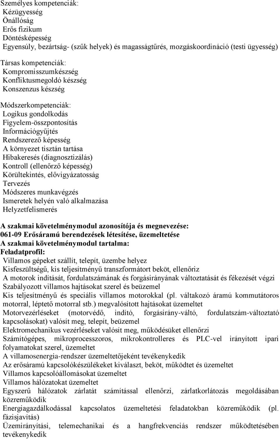 Hibakeresés (diagnosztizálás) Kontroll (ellenőrző képesség) Körültekintés, elővigyázatosság Tervezés Módszeres munkavégzés Ismeretek helyén való alkalmazása Helyzetfelismerés A szakmai