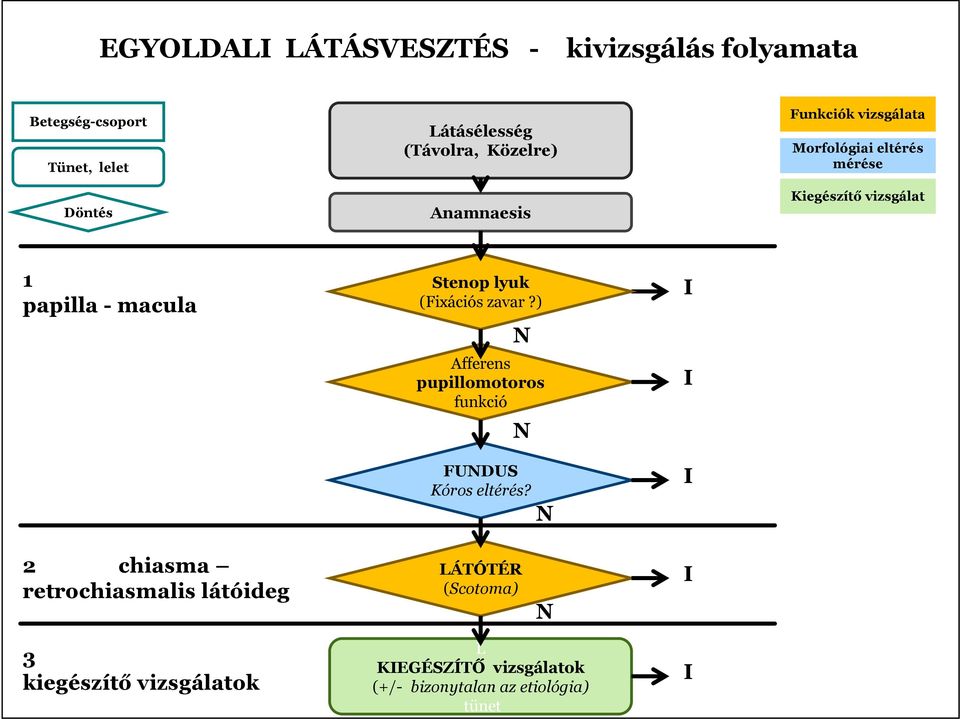 lyuk (Fixációs zavar?) N Afferens pupillomotoros funkció N FUNDUS Kóros eltérés?