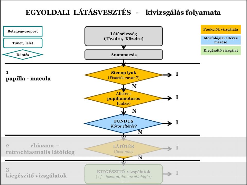 lyuk (Fixációs zavar?) N Afferens pupillomotoros funkció N FUNDUS Kóros eltérés?