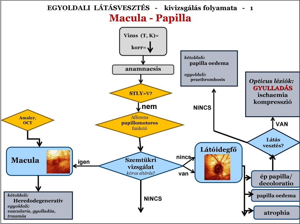 nem kétoldali: papilla oedema egyoldali: praethrombosis NINCS Opticus léziók: GYULLADÁS ischaemia kompresszió Amsler, OCT Afferens