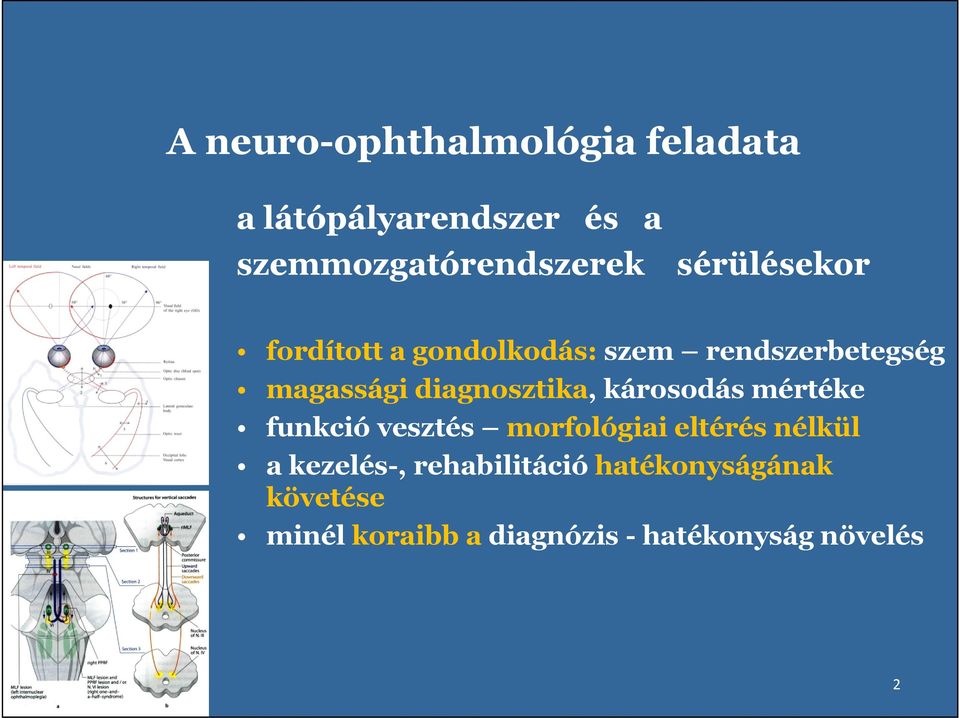 diagnosztika, károsodás mértéke funkció vesztés morfológiai eltérés nélkül a