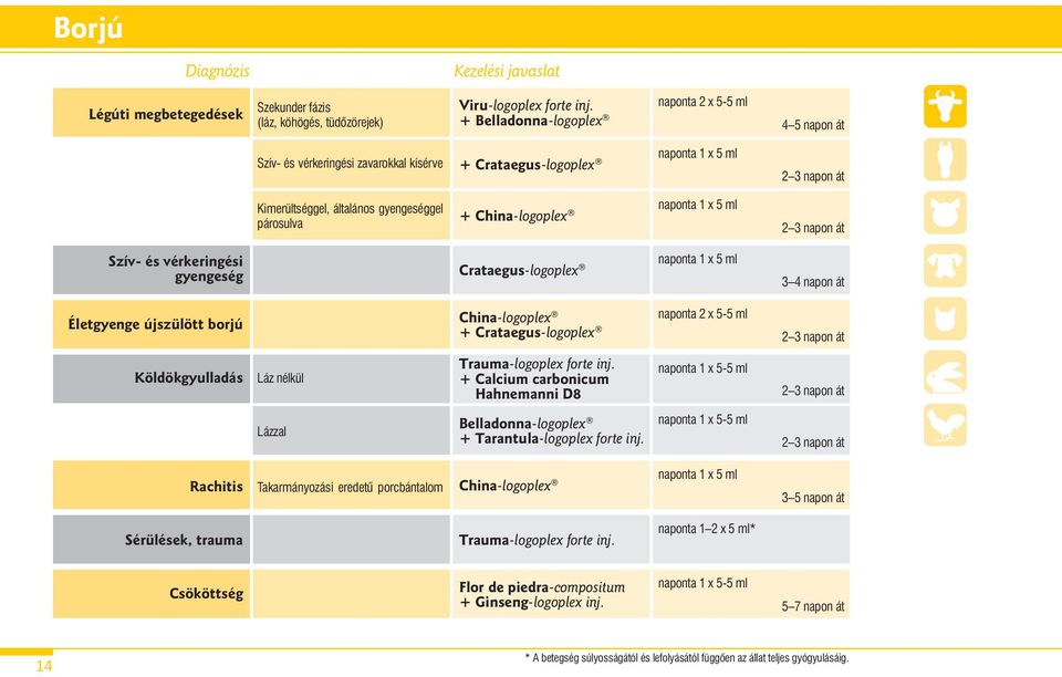 vérkeringési gyengeség Crataegus-logoplex 3 4 napon át Életgyenge újszülött borjú Köldökgyulladás Láz nélkül Lázzal China-logoplex naponta 2 x 5-5 ml + Crataegus-logoplex + Calcium carbonicum