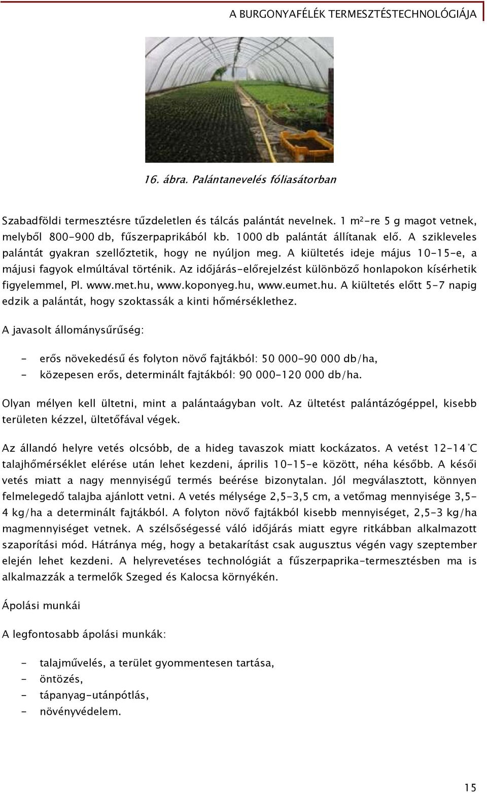 Az időjárás-előrejelzést különböző honlapokon kísérhetik figyelemmel, Pl. www.met.hu, www.koponyeg.hu, www.eumet.hu. A kiültetés előtt 5-7 napig edzik a palántát, hogy szoktassák a kinti hőmérséklethez.