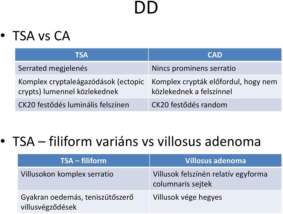 festődés random TSA filiform variáns vs villosus adenoma TSA filiform Villusokon komplex serratio Gyakran oedemás,