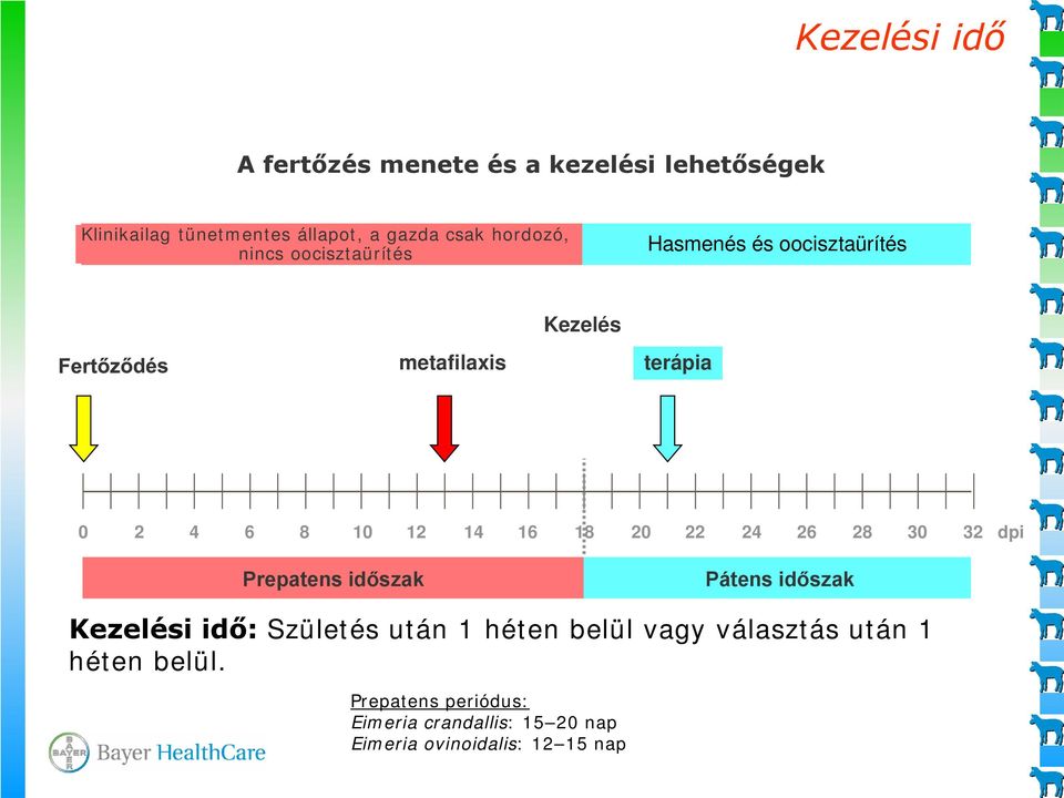 8 20 22 24 26 28 30 32 dpi Prepatens időszak Pátens időszak Kezelési idő: Születés után héten belül