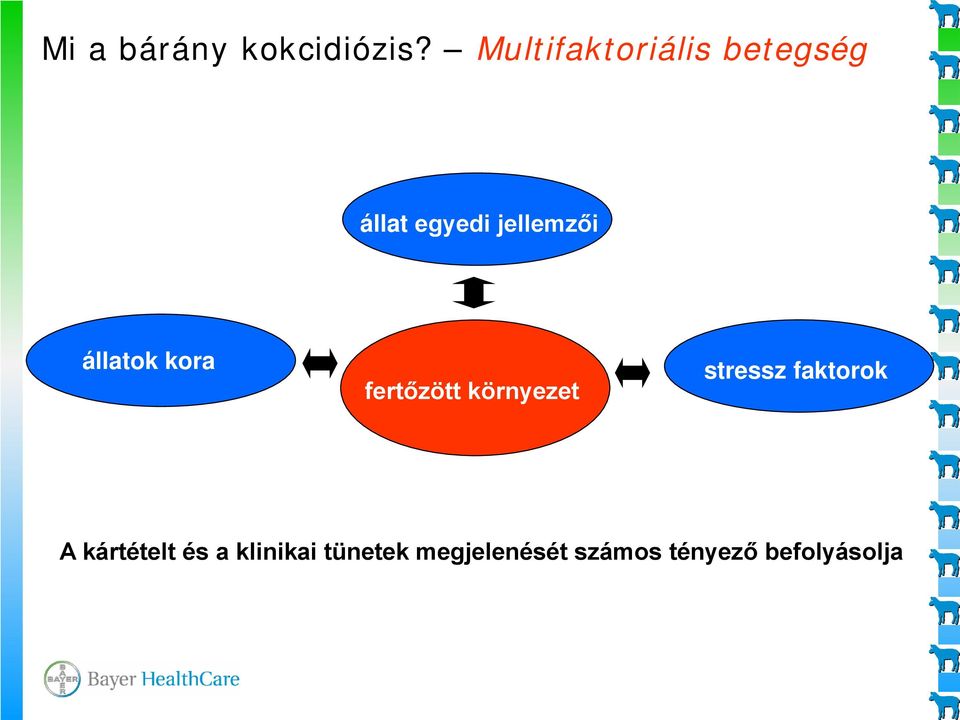 állatok kora fertőzött környezet stressz faktorok