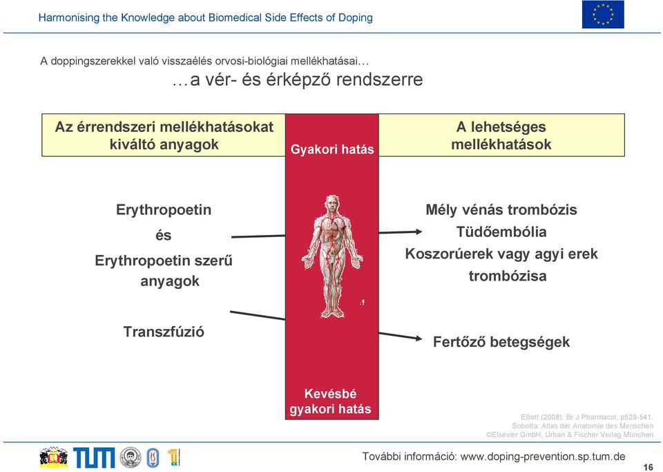 Mély vénás trombózis Tüdőembólia Koszorúerek vagy agyi erek trombózisa Transzfúzió Fertőző betegségek Kevésbé gyakori