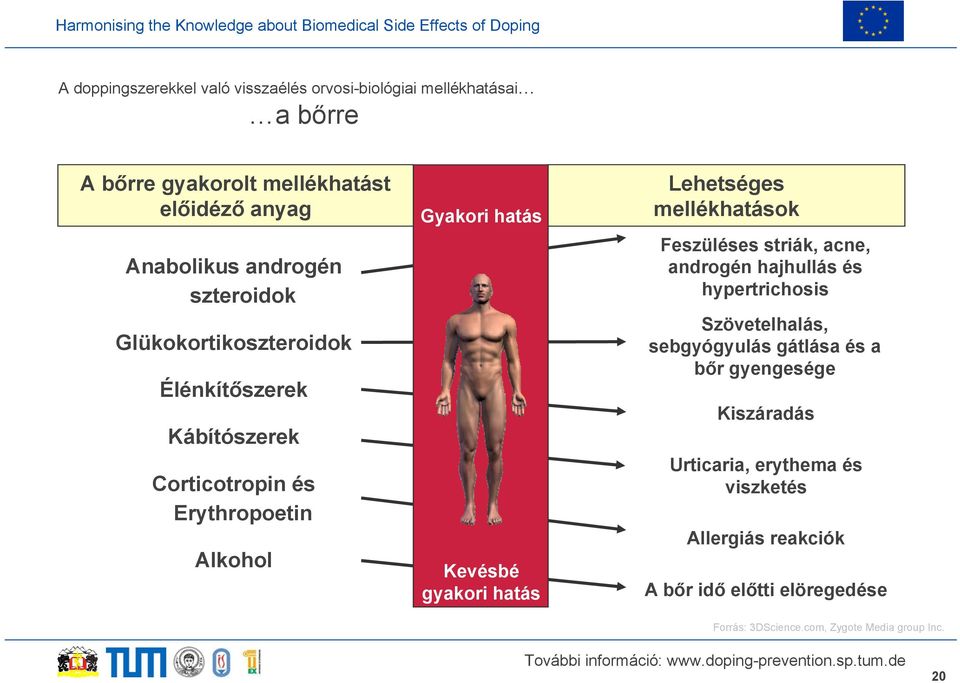 Lehetséges mellékhatások Feszüléses striák, acne, androgén hajhullás és hypertrichosis Szövetelhalás, sebgyógyulás gátlása és a bőr