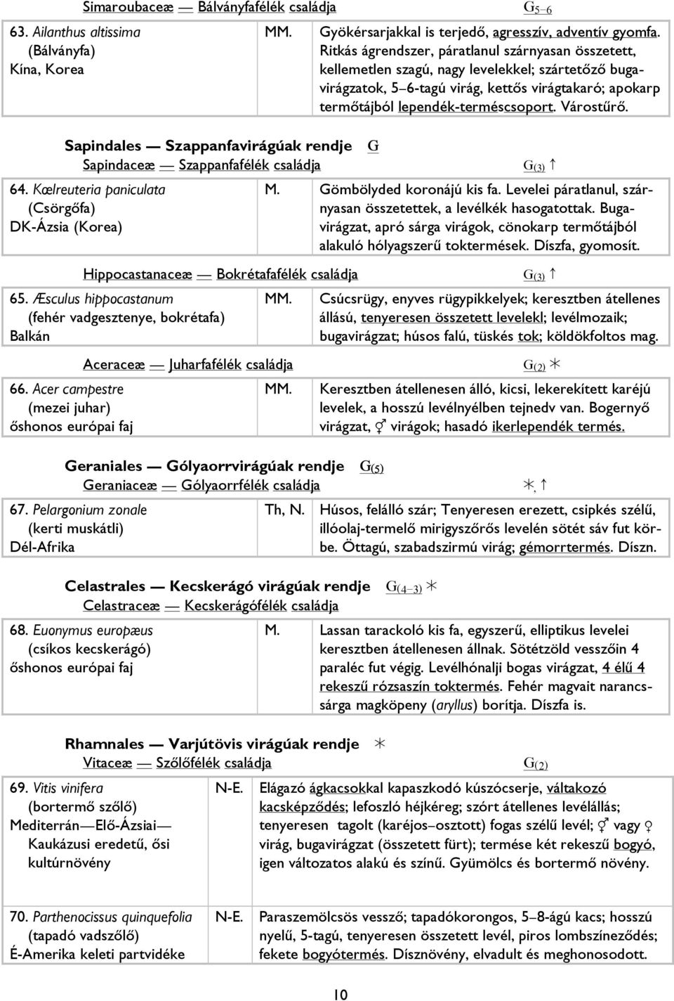 Æsculus hippocastanum (fehér vadgesztenye, bokrétafa) Balkán Gyökérsarjakkal is terjedő, agresszív, adventív gyomfa.