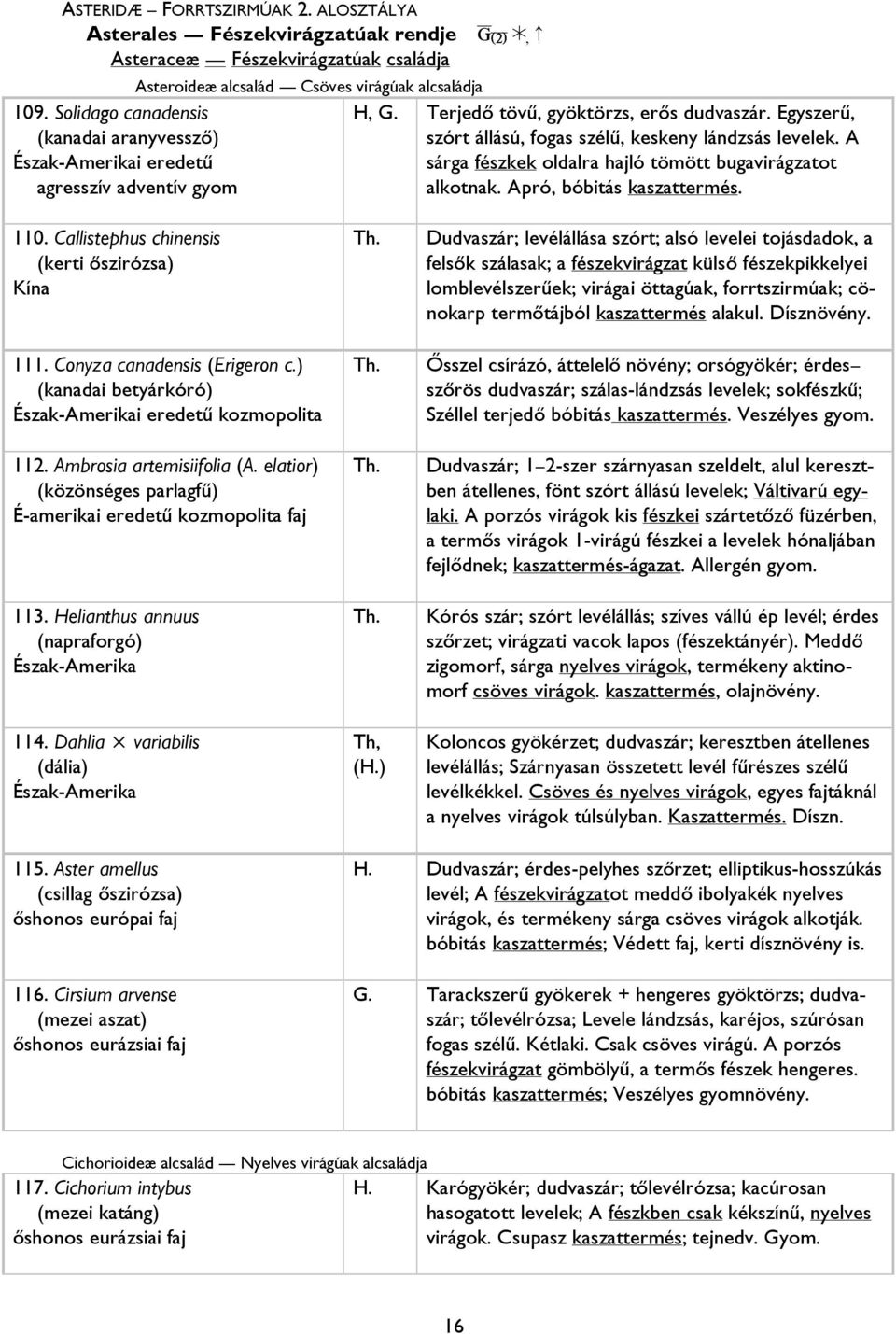 A sárga fészkek oldalra hajló tömött bugavirágzatot alkotnak. Apró, bóbitás kaszattermés. 110. Callistephus chinensis (kerti őszirózsa) Kína 111. Conyza canadensis (Erigeron c.