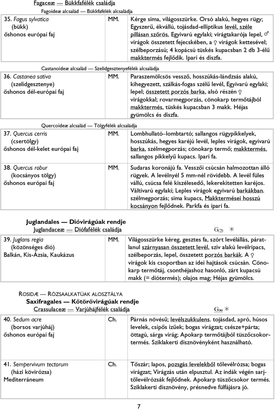 Quercus cerris (csertölgy) őshonos dél-kelet európai faj 38. Quercus robur (kocsányos tölgy) Kérge sima, világosszürke.