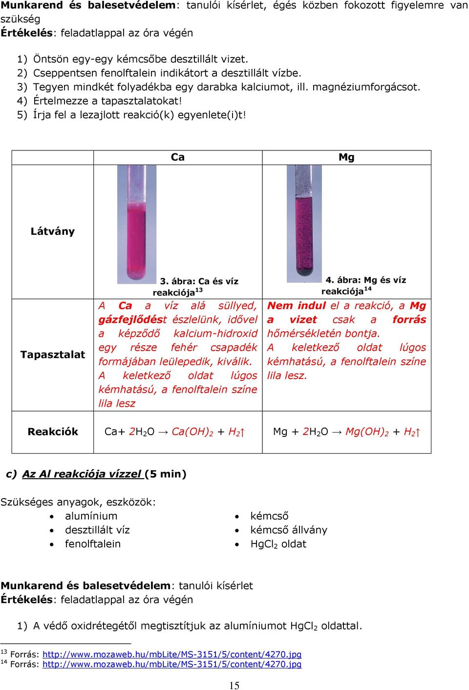 5) Írja fel a lezajlott reakció(k) egyenlete(i)t! Ca Mg Látvány Tapasztalat 3.