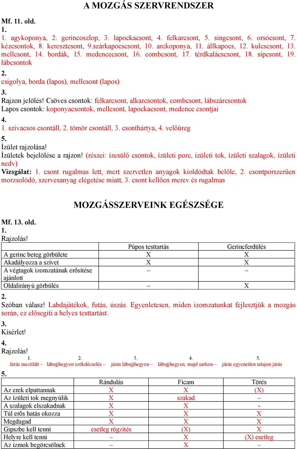 lábcsontok csigolya, borda (lapos), mellcsont (lapos) Rajzon jelölés!