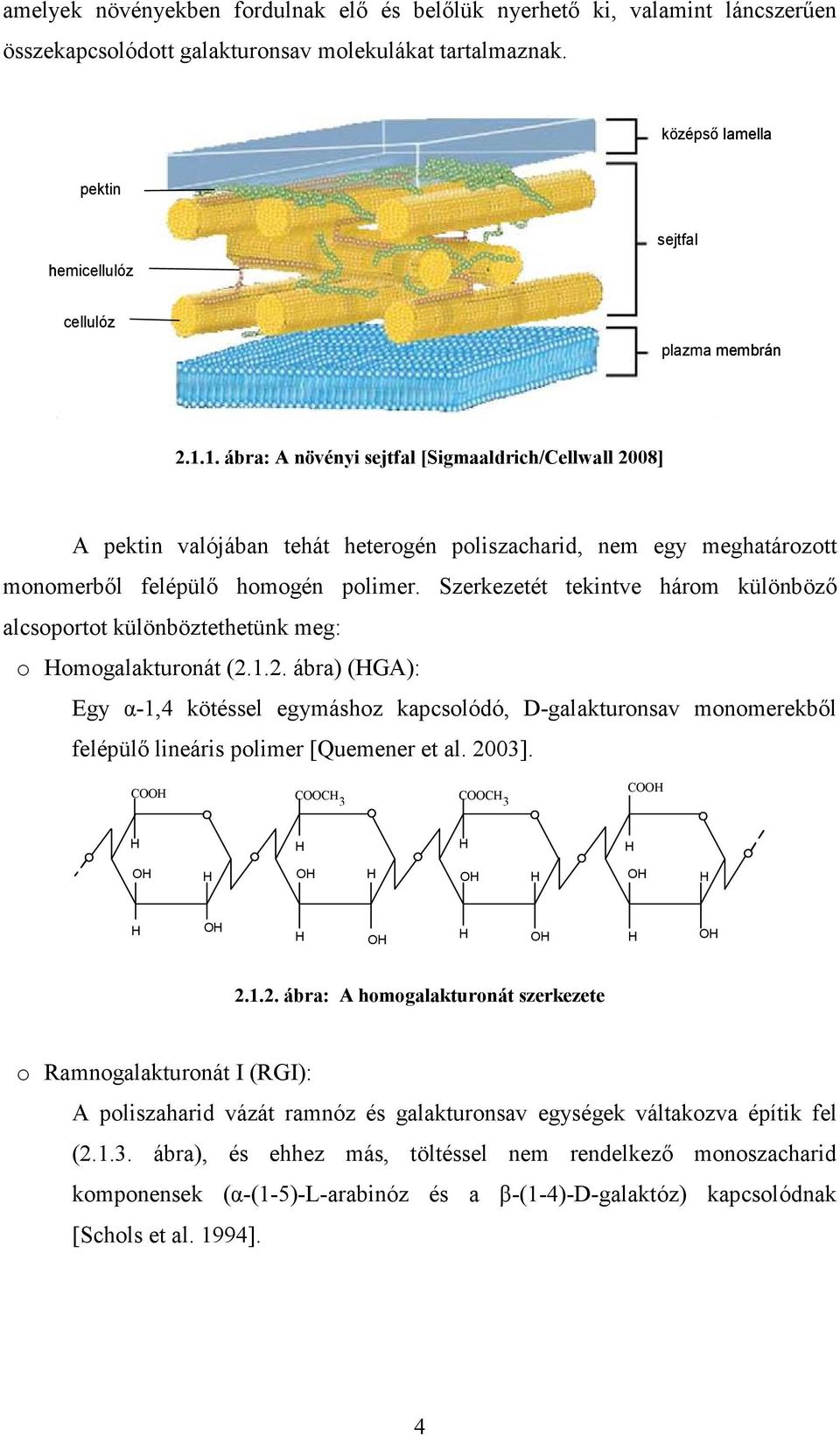1. ábra: A növényi sejtfal [Sigmaaldrich/Cellwall 2008] A pektin valójában tehát heterogén poliszacharid, nem egy meghatározott monomerbıl felépülı homogén polimer.