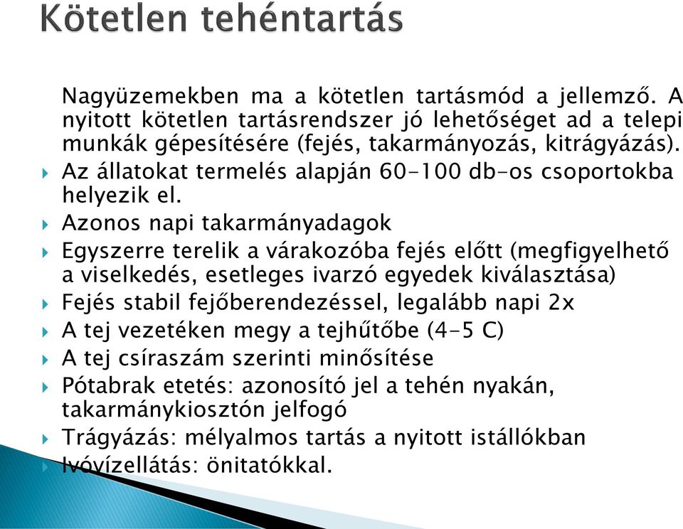 Az állatokat termelés alapján 60-100 db-os csoportokba helyezik el.