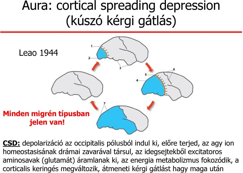 homeostasisának drámai zavarával társul, az idegsejtekből excitatoros aminosavak (glutamát)