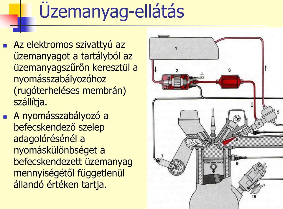 szállítja.