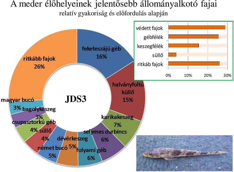 és előfordulás alapján védett fajok