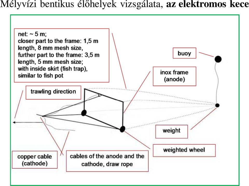 élőhelyek