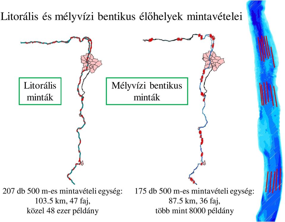 mintavételi egység: 103.