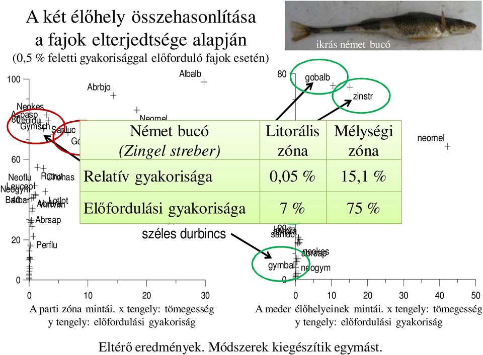 zóna mintái, mintái. relatív x tengely: (x tengely) tömegesség és előfordulási y tengely: (y előfordulási tengely) gyakoriságai.