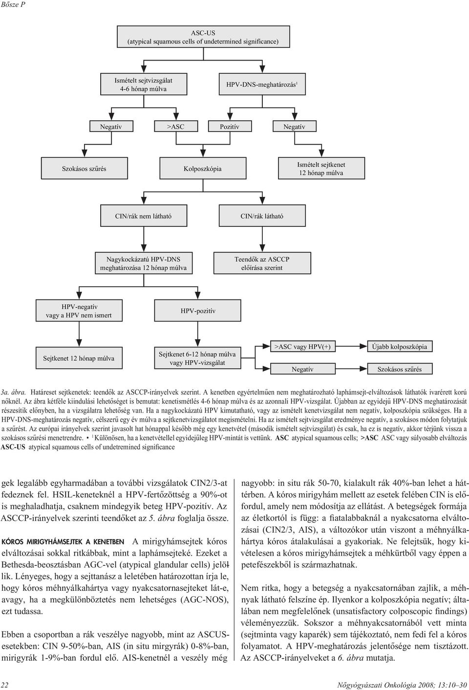 Sejtkenet 12 hónap múlva Sejtkenet 6-12 hónap múlva vagy HPV-vizsgálat >ASC vagy HPV(+) Negatív Újabb kolposzkópia Szokásos szûrés 3a. ábra. Határeset sejtkenetek: teendôk az ASCCP-irányelvek szerint.