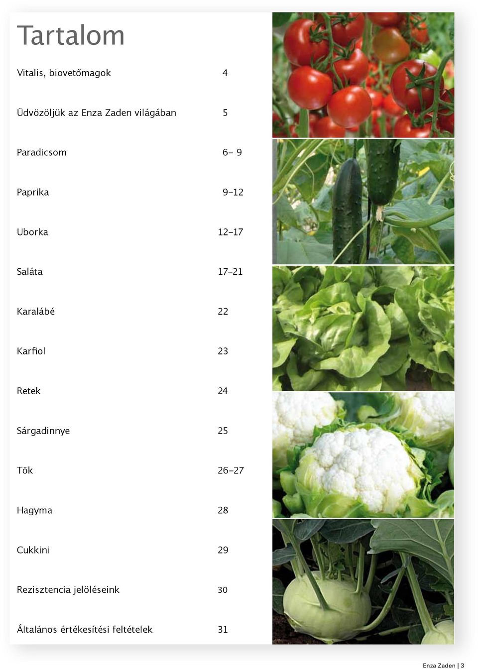 Karfiol 23 Retek 24 Sárgadinnye 25 Tök 26-27 Hagyma 28 Cukkini 29