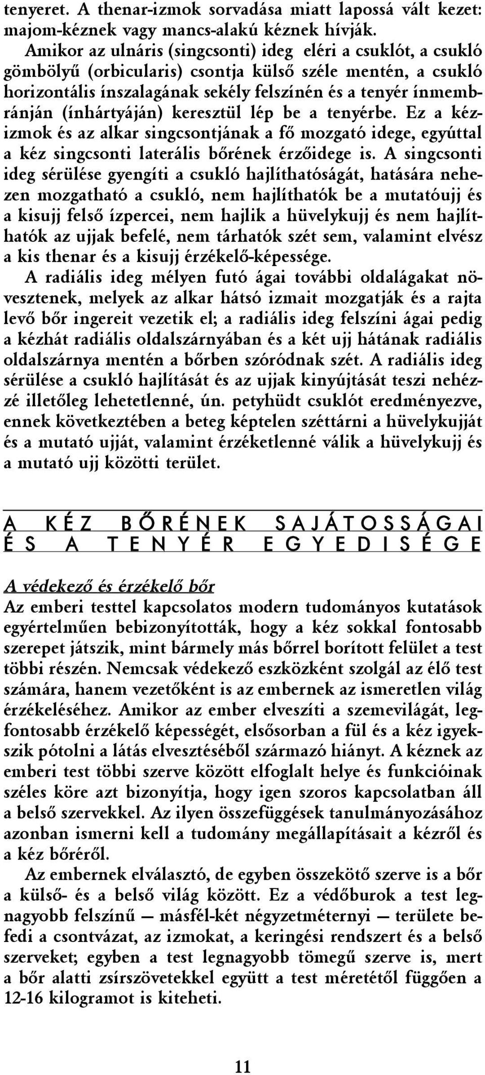 (ínhártyáján) keresztül lép be a tenyérbe. Ez a kézizmok és az alkar singcsontjának a fõ mozgató idege, egyúttal a kéz singcsonti laterális bõrének érzõidege is.