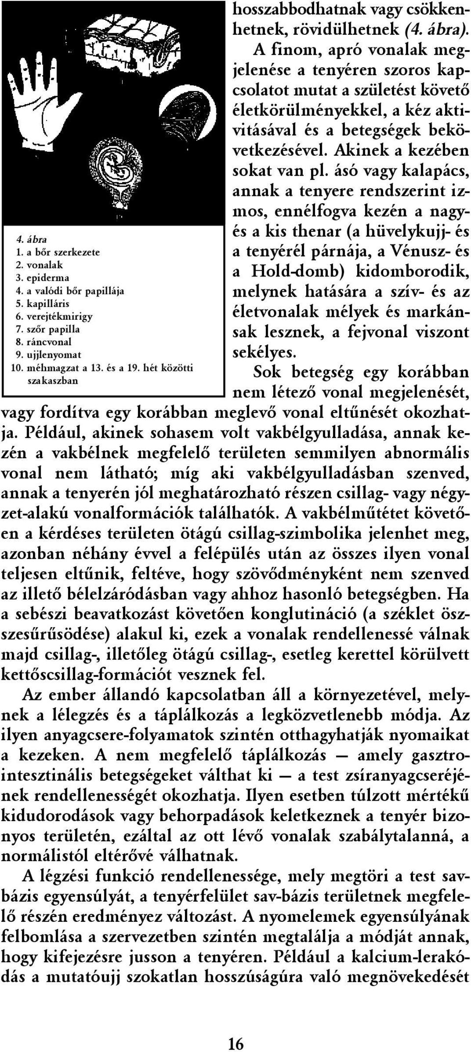 A finom, apró vonalak megjelenése a tenyéren szoros kapcsolatot mutat a születést követõ életkörülményekkel, a kéz aktivitásával és a betegségek bekövetkezésével. Akinek a kezében sokat van pl.