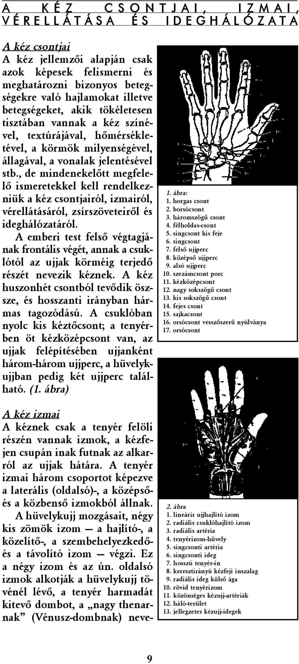 , de mindenekelõtt megfelelõ ismeretekkel kell rendelkezniük a kéz csontjairól, izmairól, vérellátásáról, zsírszöveteirõl és ideghálózatáról.