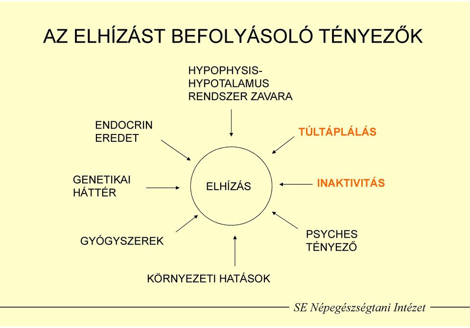 TÚLTÁPLÁLÁS GENETIKAI HÁTTÉR ELHÍZÁS