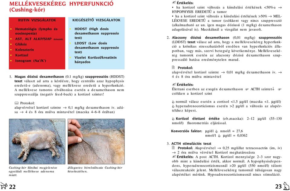 1 mg/kg) szuppressziós (HDDST) teszt választ ad arra a kérdésre, hogy centrális azaz hypophysis eredetû-e (adenoma), vagy mellékvese eredetû a hyperfunkció.