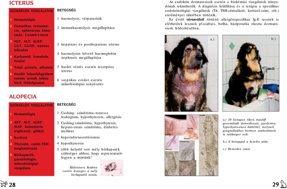 icterus 4 haemolysist követô haemoglobin nephrosis megállapítása 5 hasûri vérzés esetén resorptios icterus 6 szeptikus eredet esetén mikrobiológiai tenyésztés BTGSÉG Az endokrin dermatosisok esetén a