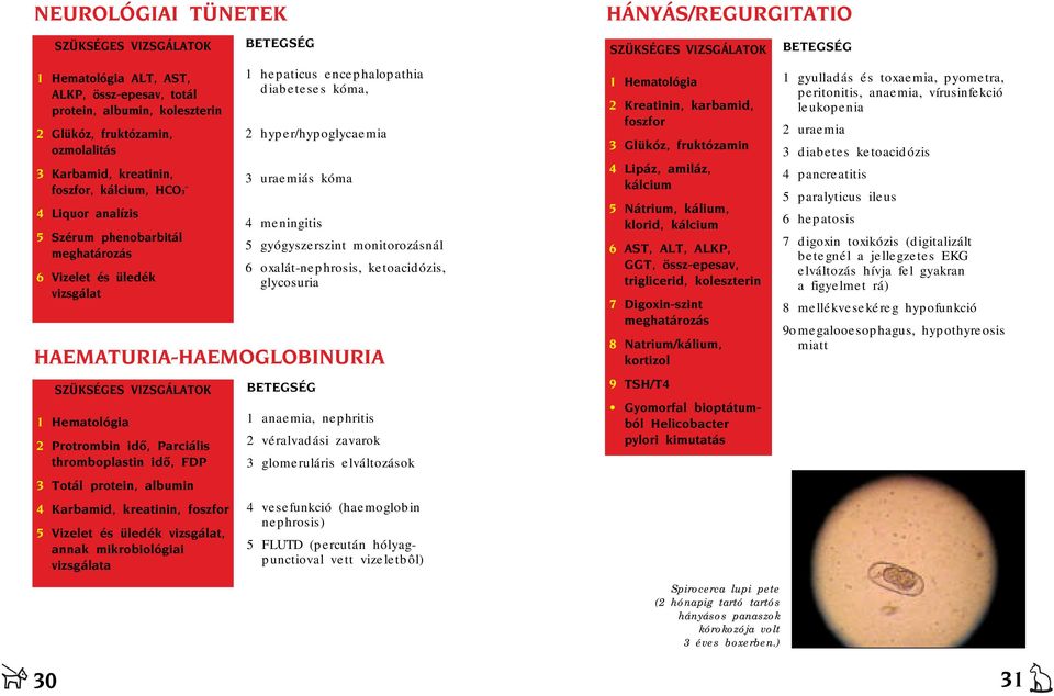 Totál protein, albumin 4 Karbamid, kreatinin, foszfor 5 Vizelet és üledék vizsgálat, annak mikrobiológiai vizsgálata BTGSÉG 1 hepaticus encephalopathia diabeteses kóma, 2 hyper/hypoglycaemia 3