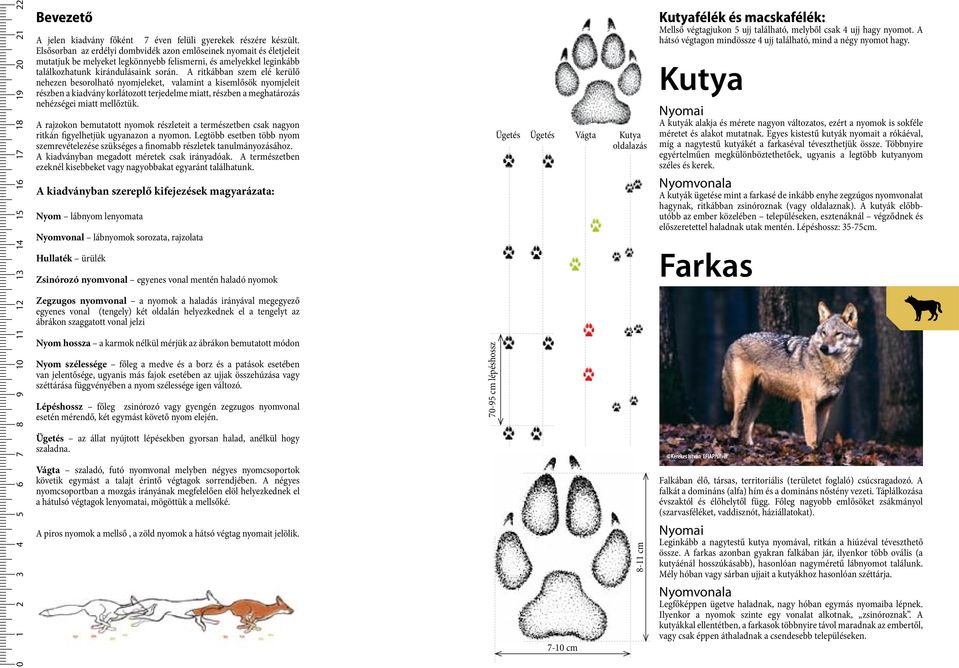 A ritkábban szem elé kerülő nehezen besorolható nyomjeleket, valamint a kisemlősök nyomjeleit részben a kiadvány korlátozott terjedelme miatt, részben a meghatározás nehézségei miatt mellőztük.