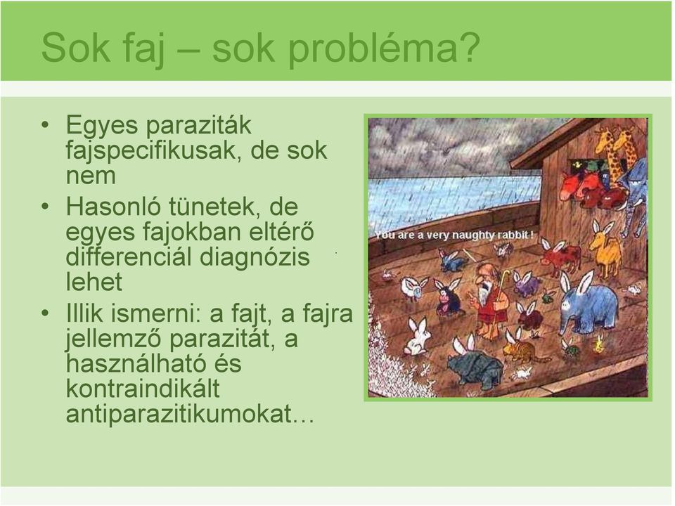 tünetek, de egyes fajokban eltérő differenciál diagnózis