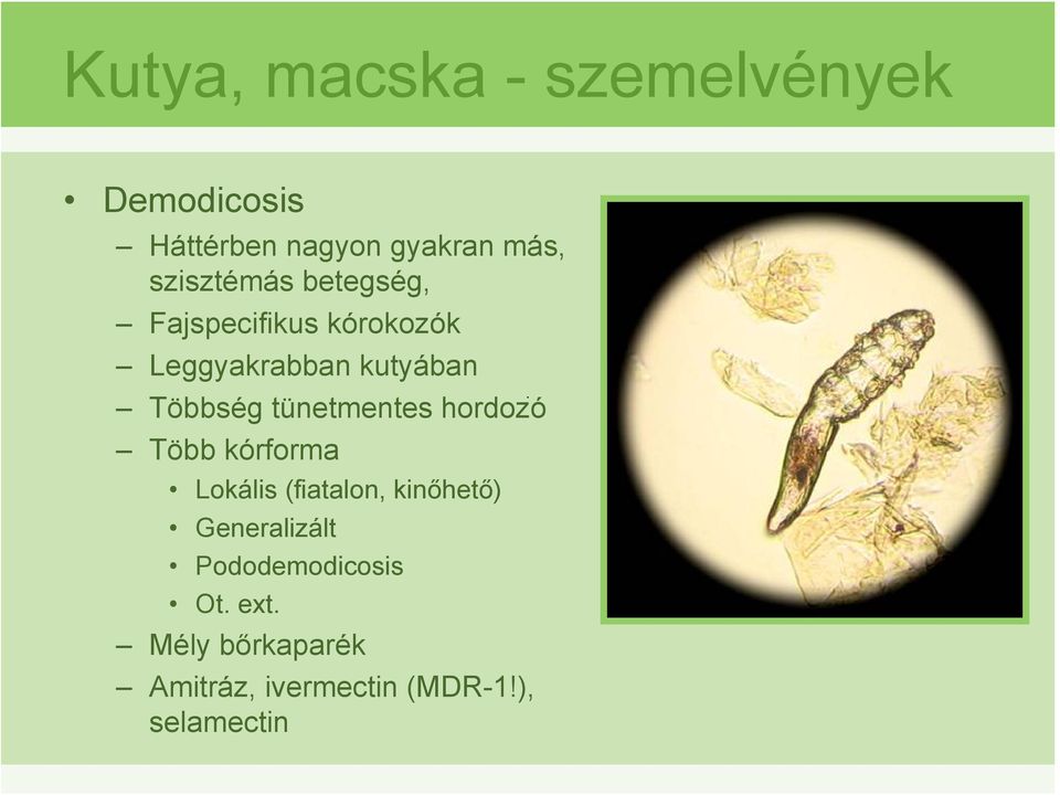 tünetmentes hordozó Több kórforma Lokális (fiatalon, kinőhető) Generalizált