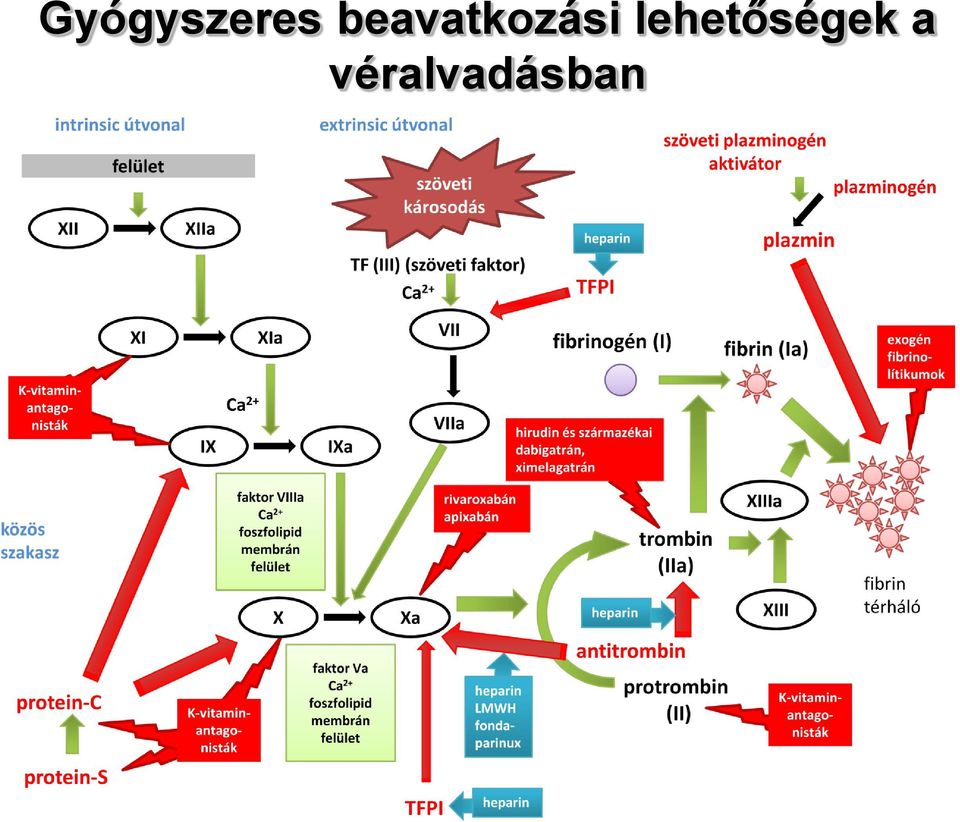 lehetőségek