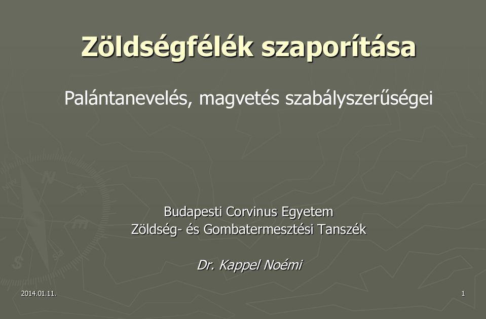 Corvinus Egyetem Zöldség- és