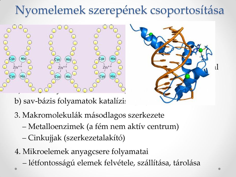 Molekulák aktiválása metalloenzimek, fémionok által aktivált enzimek: a) redoxi folyamatok katalízise (Fe, Cu, Mn, Co, Mo, Ni) b)