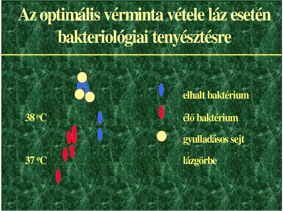 elhalt baktérium 38 o C élı