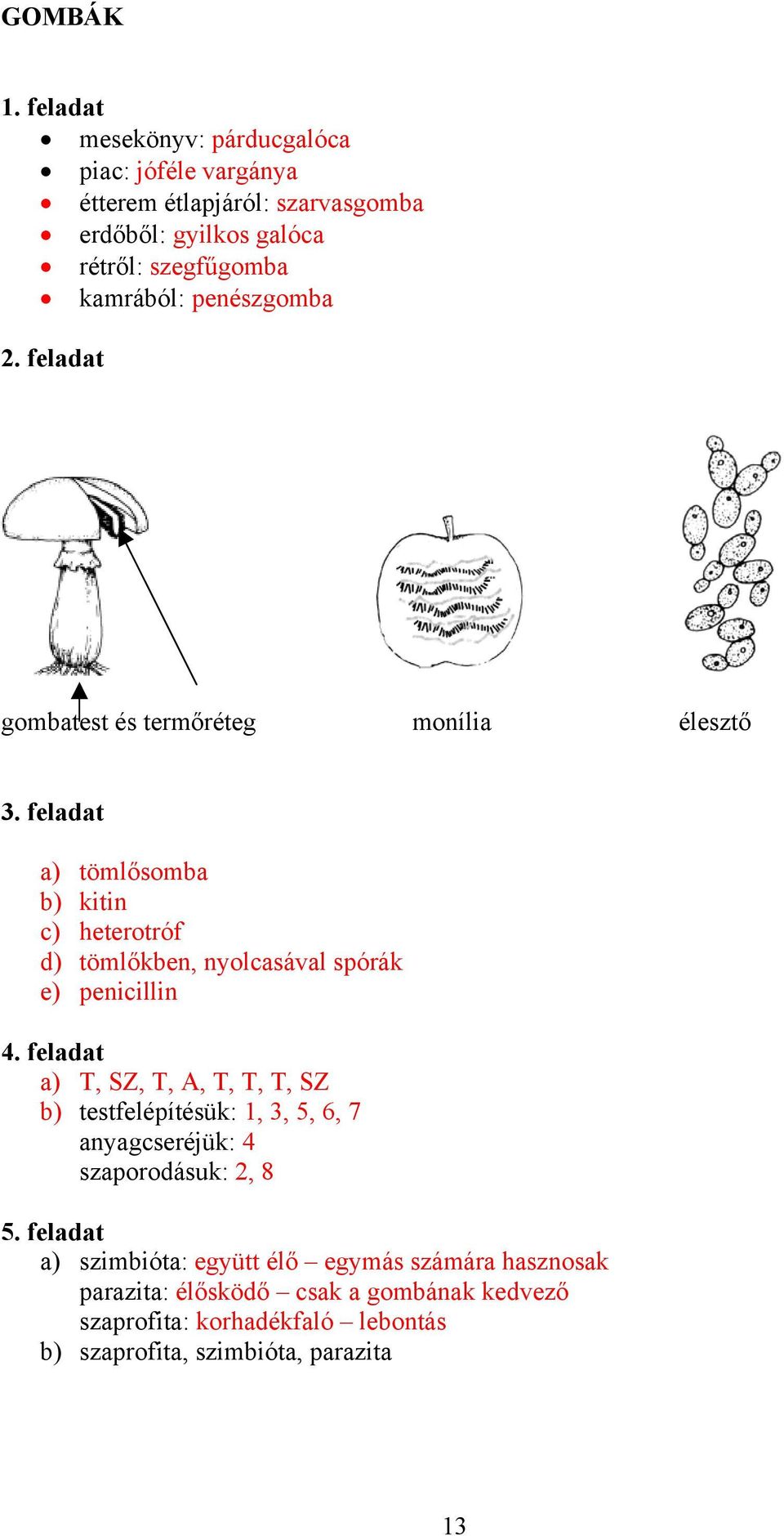 penicillin a) T, SZ, T, A, T, T, T, SZ b) testfelépítésük: 1, 3, 5, 6, 7 anyagcseréjük: 4 szaporodásuk: 2, 8 5.