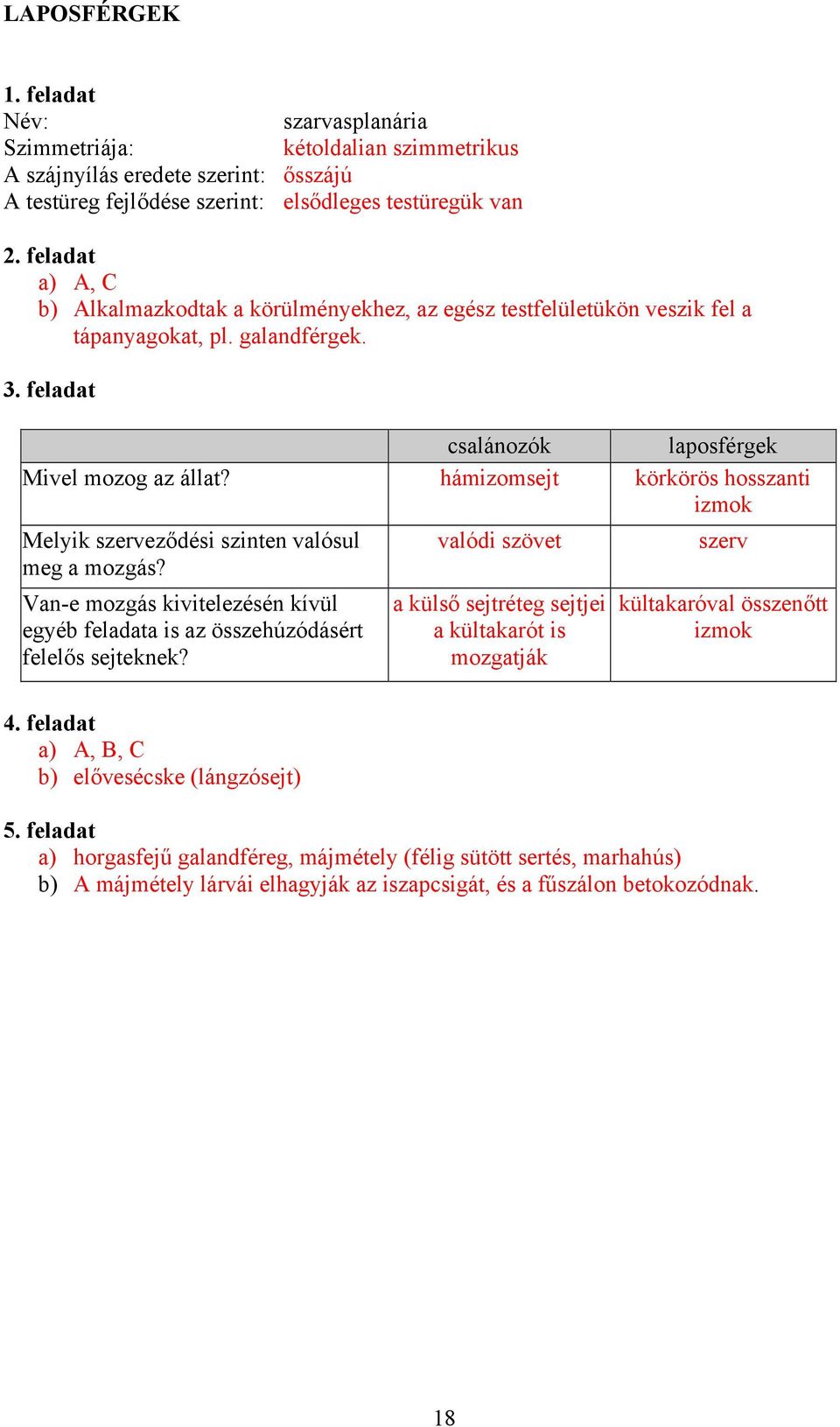 hámizomsejt körkörös hosszanti izmok Melyik szerveződési szinten valósul meg a mozgás? valódi szövet szerv Van-e mozgás kivitelezésén kívül egyéb feladata is az összehúzódásért felelős sejteknek?