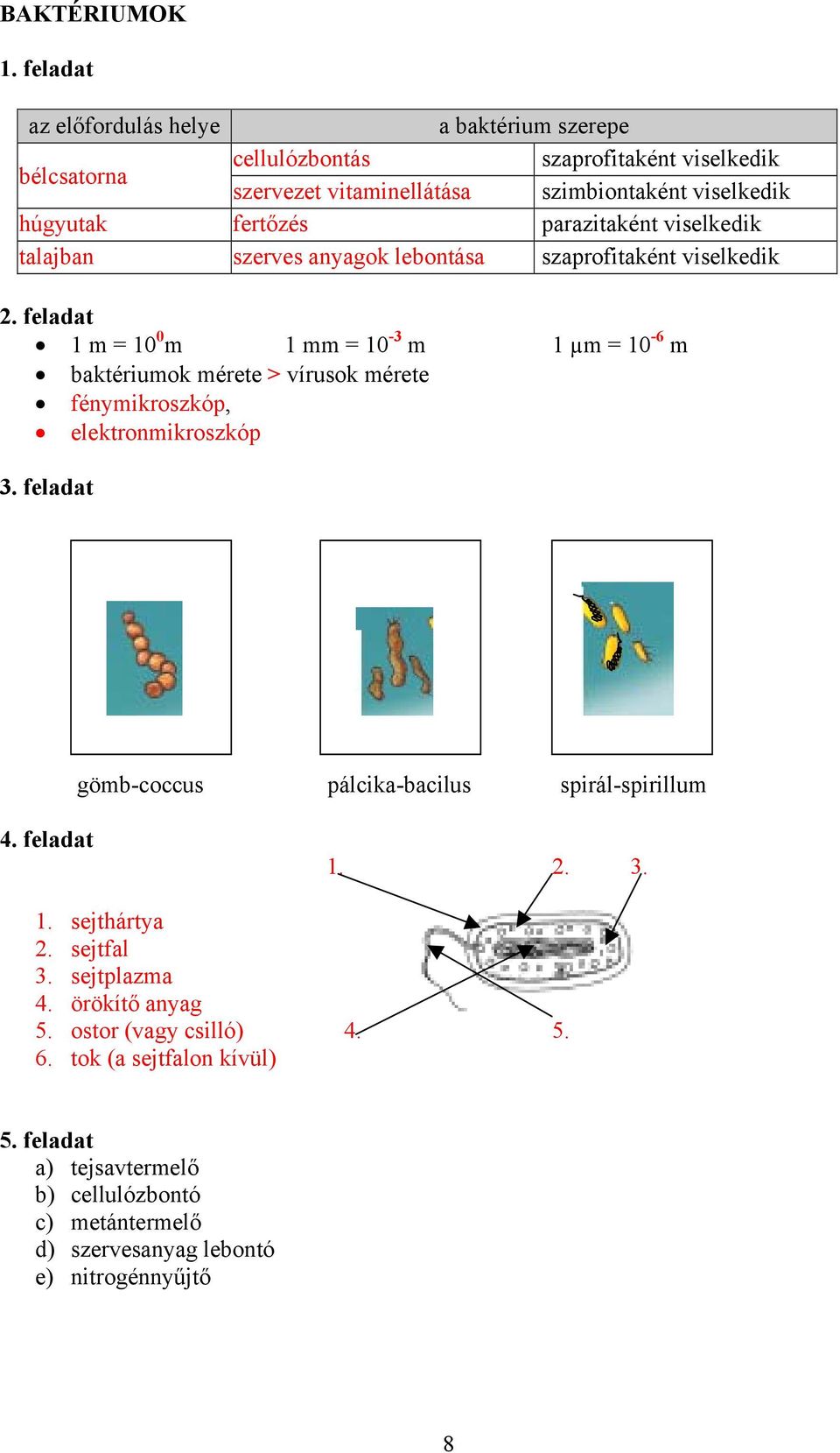 mérete > vírusok mérete fénymikroszkóp, elektronmikroszkóp gömb-coccus pálcika-bacilus spirál-spirillum 1. 2. 3. 1. sejthártya 2. sejtfal 3. sejtplazma 4.
