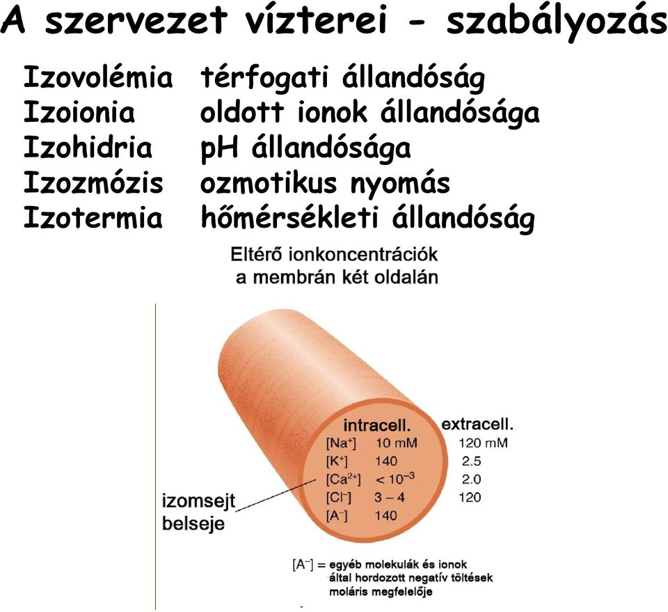 állandósága Izohidria ph állandósága Izozmózis