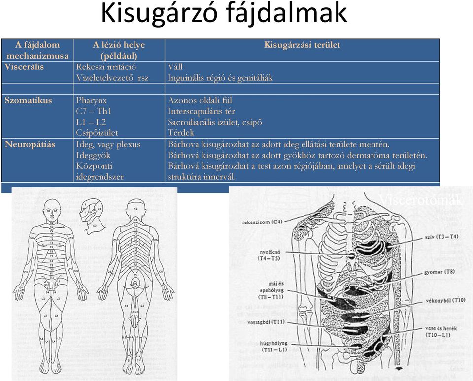 oldali fül Interscapuláris tér Sacroiliacális izület, csípő Térdek Bárhova kisugározhat az adott ideg ellátási területe mentén.